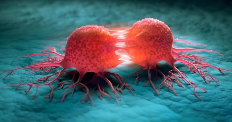 تقنية ثورية... تجعل البكتيريا تلتهم الخلايا السرطانية 