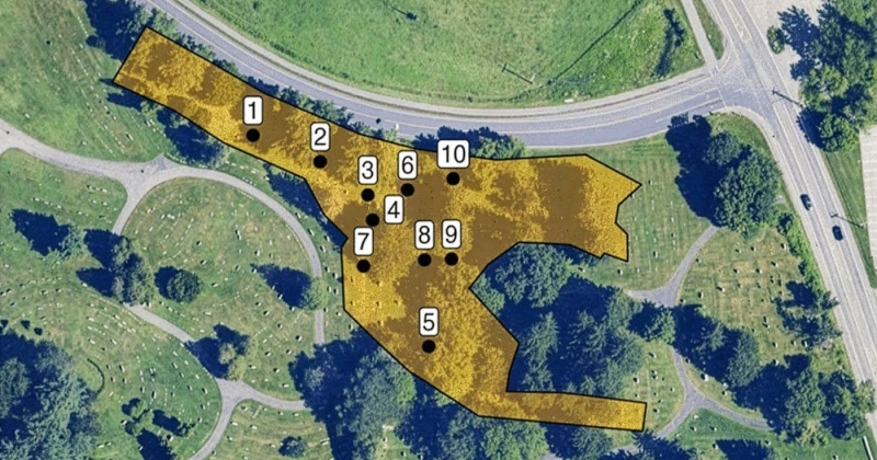 مستعمرة تنبض بالحياة... تحت مقبرة!