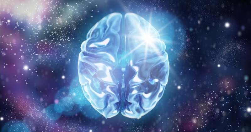 تجميد أدمغة مختبرياً ثم تدفئتها... ينعش حلم «السبات البشري»!