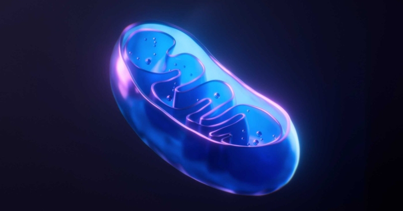 ثورة طبية تنعش الخلايا المحتضرة 