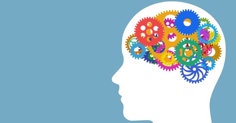 5 طرق علمية لتعزيز الذاكرة طويلة المدى 