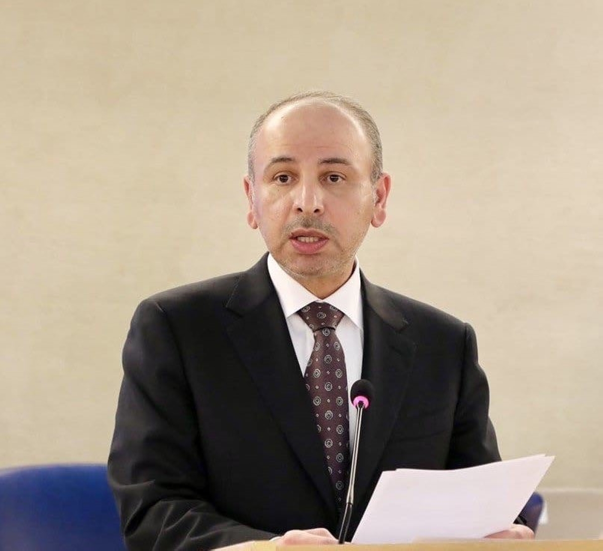 السفير ناصر الهين 