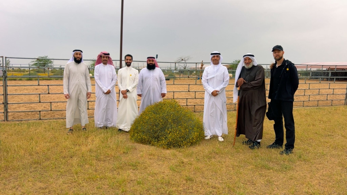 زهرة العرفج تتوسّط محبيها