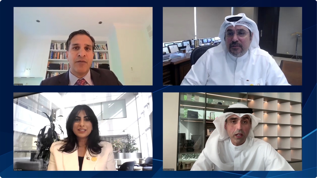 جانب من الندوة عبر الانترنت 