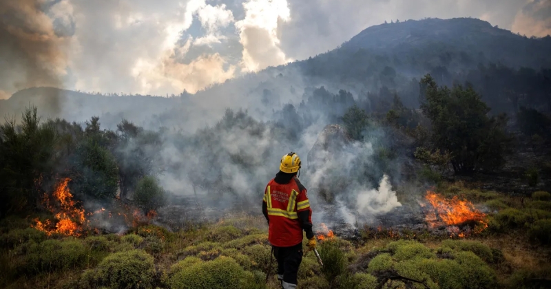 دراسة: دخان حرائق الغابات قد يرفع خطر الإصابة بأنواع من السرطان