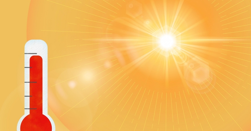 الحر الشديد يهدد... نظم الغذاء في العالم