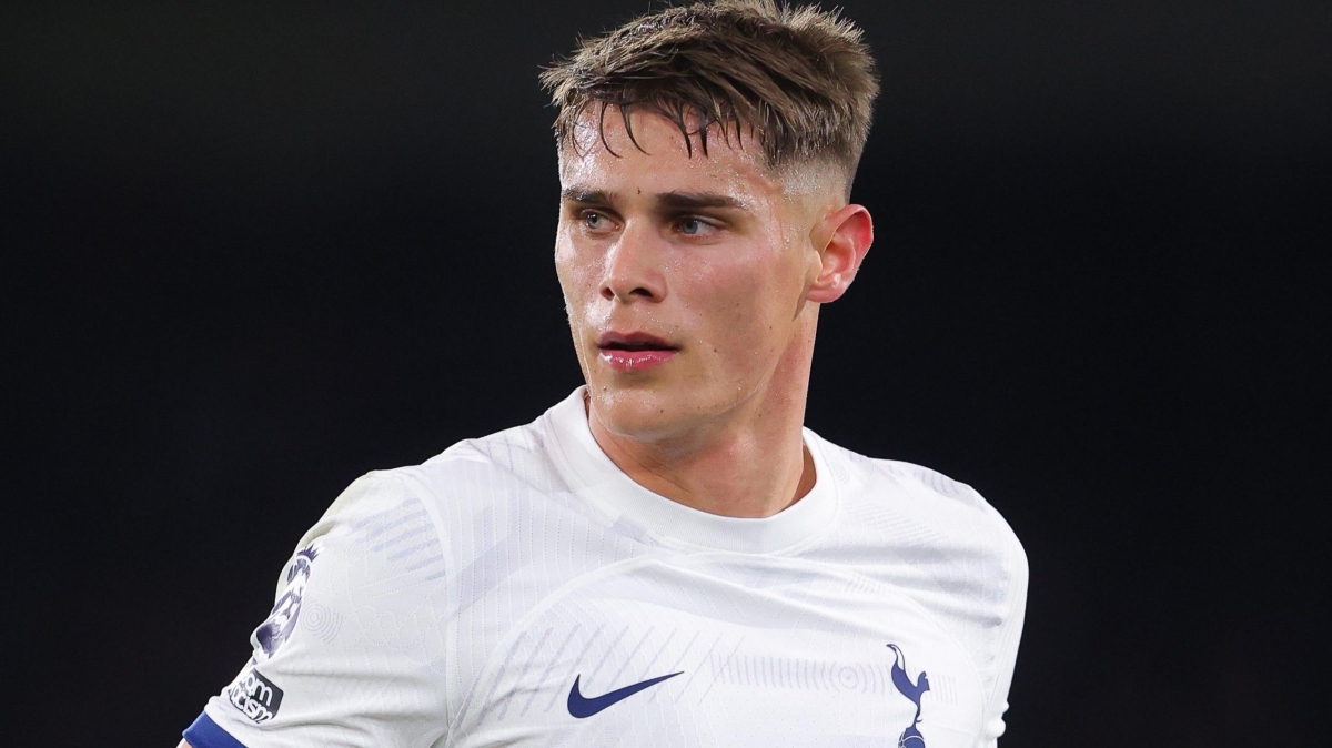 ميكي فان دي فين