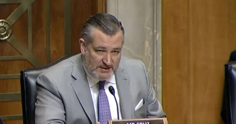 تيد كروز: إيران تدعم «البوليساريو» بالسلاح