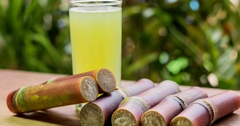 عصير قصب السكر... يدعم صحة الكبد خلال الحر
