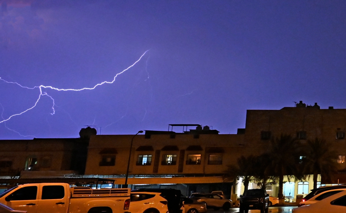  أمطار السرايات تفيد النباتات المعمرة   (تصوير سعود سالم)