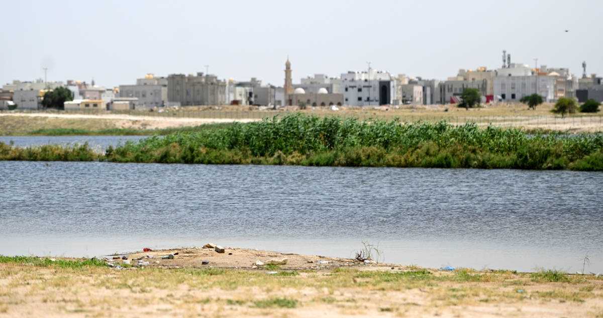 
الماء والخضار والعمار في لوحة فنية بديعة