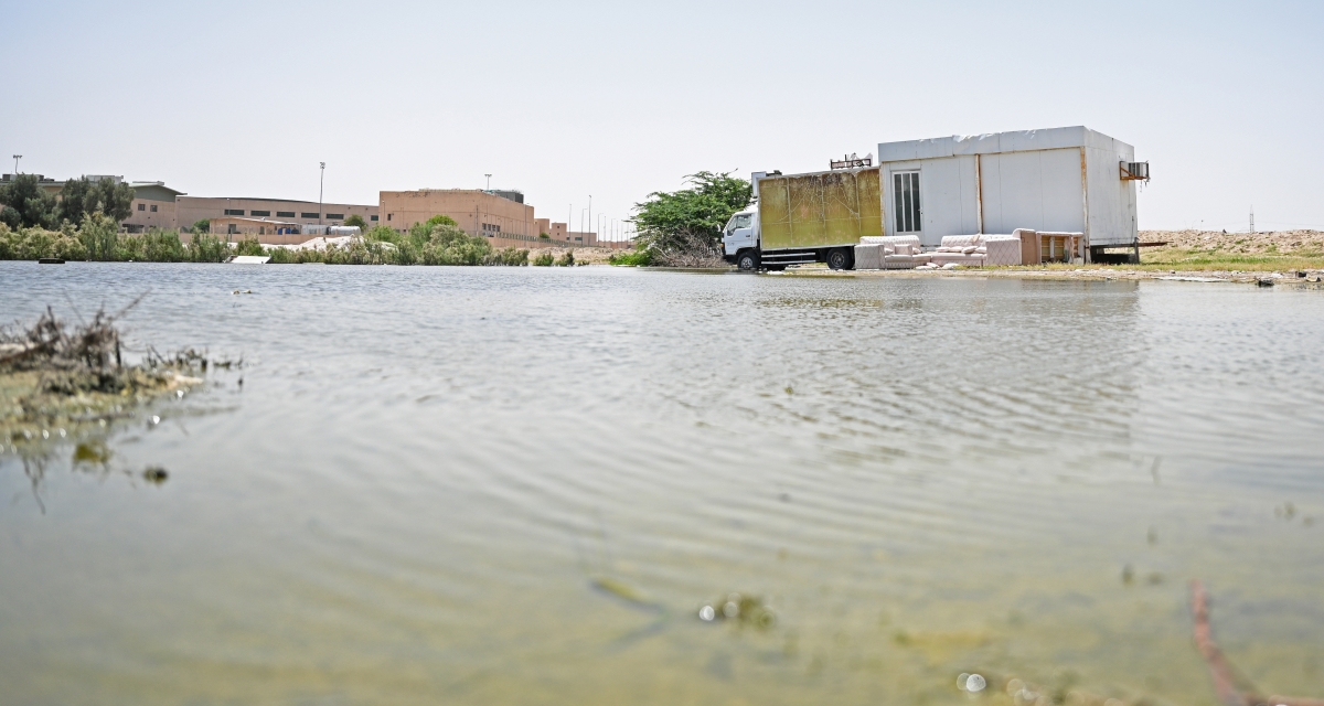 
خباري أعقبت هطول أمطار الخير