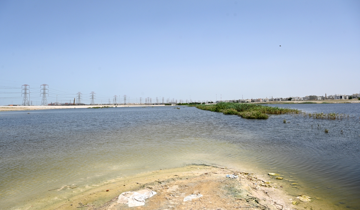 
أنهار خلفتها الأمطار (تصوير: نايف العقلة)