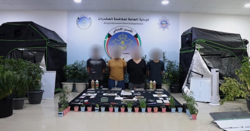 الكويت: مداهمة مزرعة ماريغوانا متكاملة وضبط 4 مواطنين — image 1