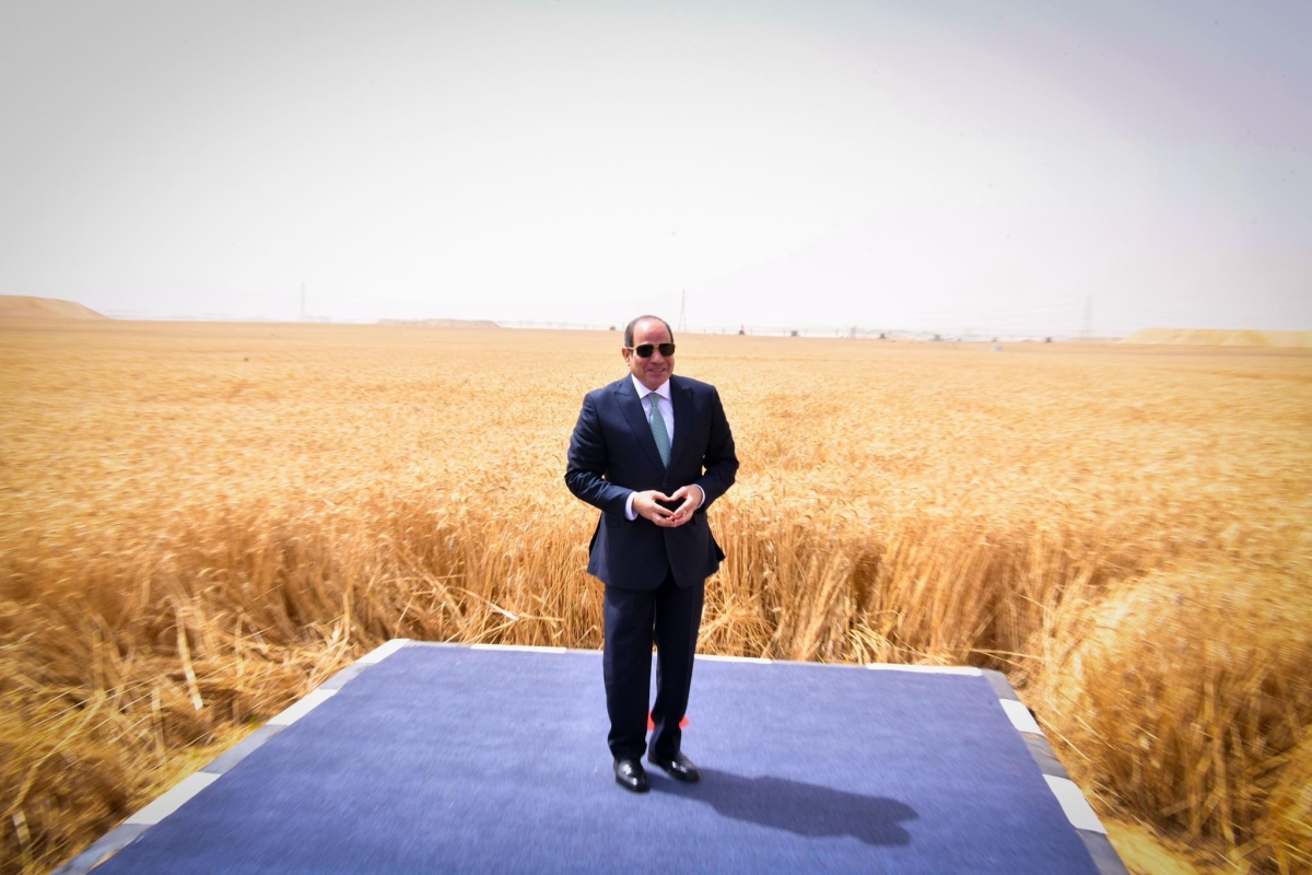 السيسي يتفقّد مشروع الدلتا الجديدة