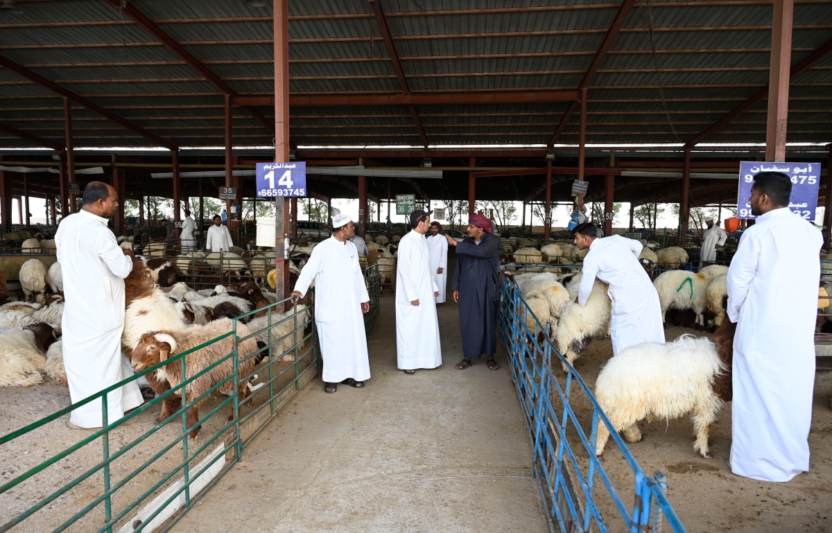 حركة شراء رغم العلاء