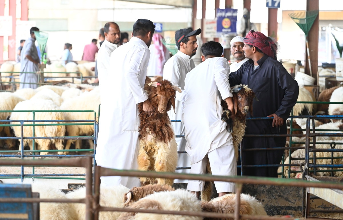 معاينة وبازار