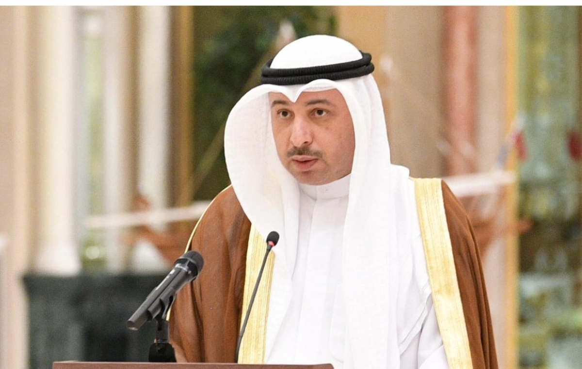 السفير ناصر الهين