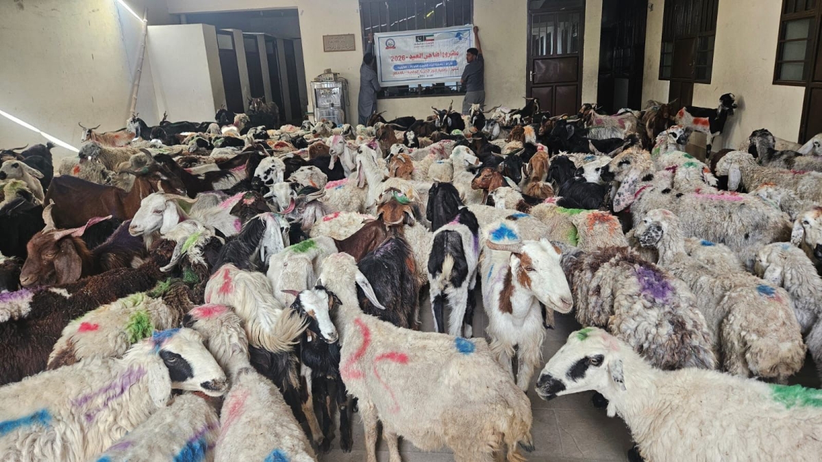 أضاحٍ متنوعة