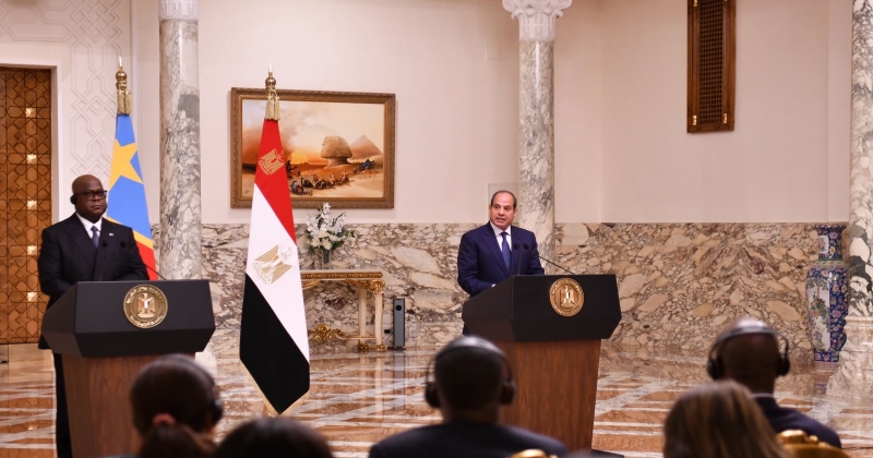 السيسي لدول النيل: ما تريده مصر الالتزام بحسن الجوار وتحقيق المنفعة المشتركة