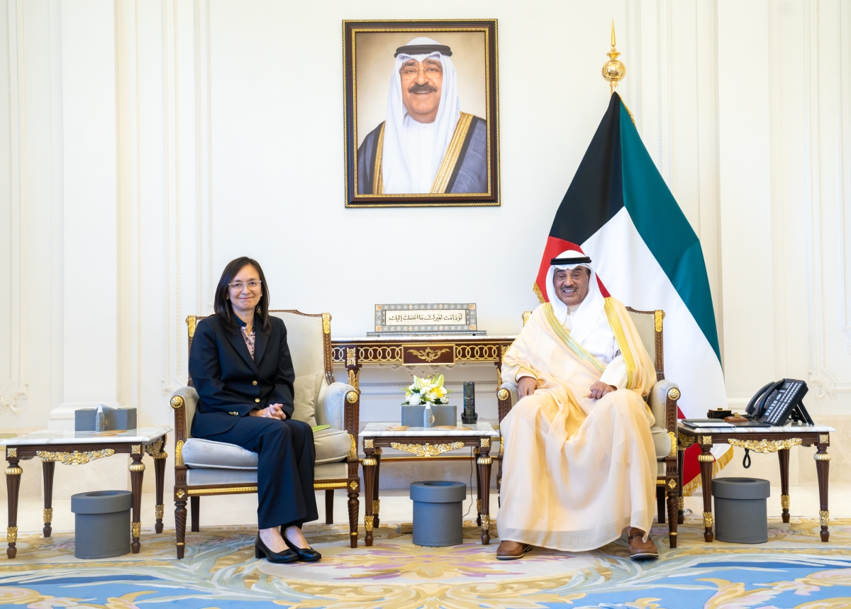 ولي العهد مُستقبلاً الممثلة العليا للأمين العام للأمم المتحدة