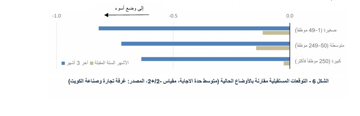 التوقعات المستقبلية 
