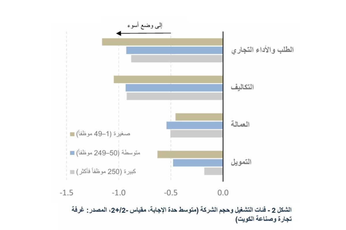 فئات التشغيل وحجم الشركة
