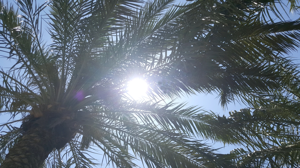 طقس مشمس