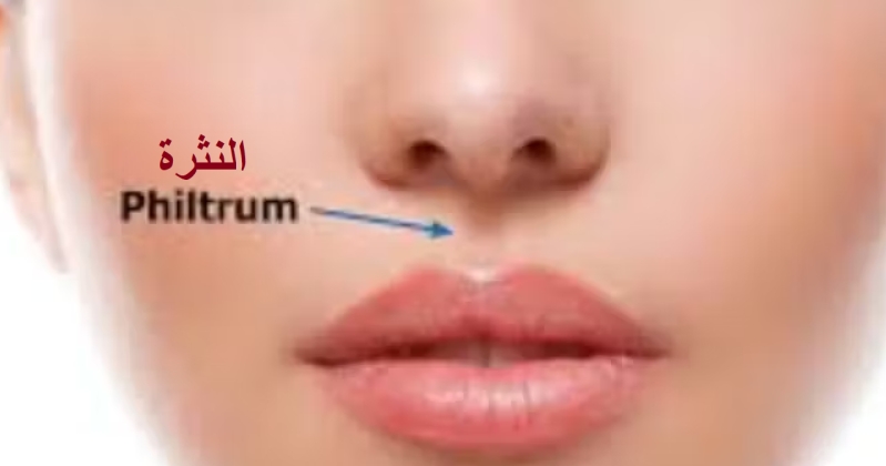 «النثرة»... ما تفسير ذلك الأخدود بين الأنف والشفة؟ 