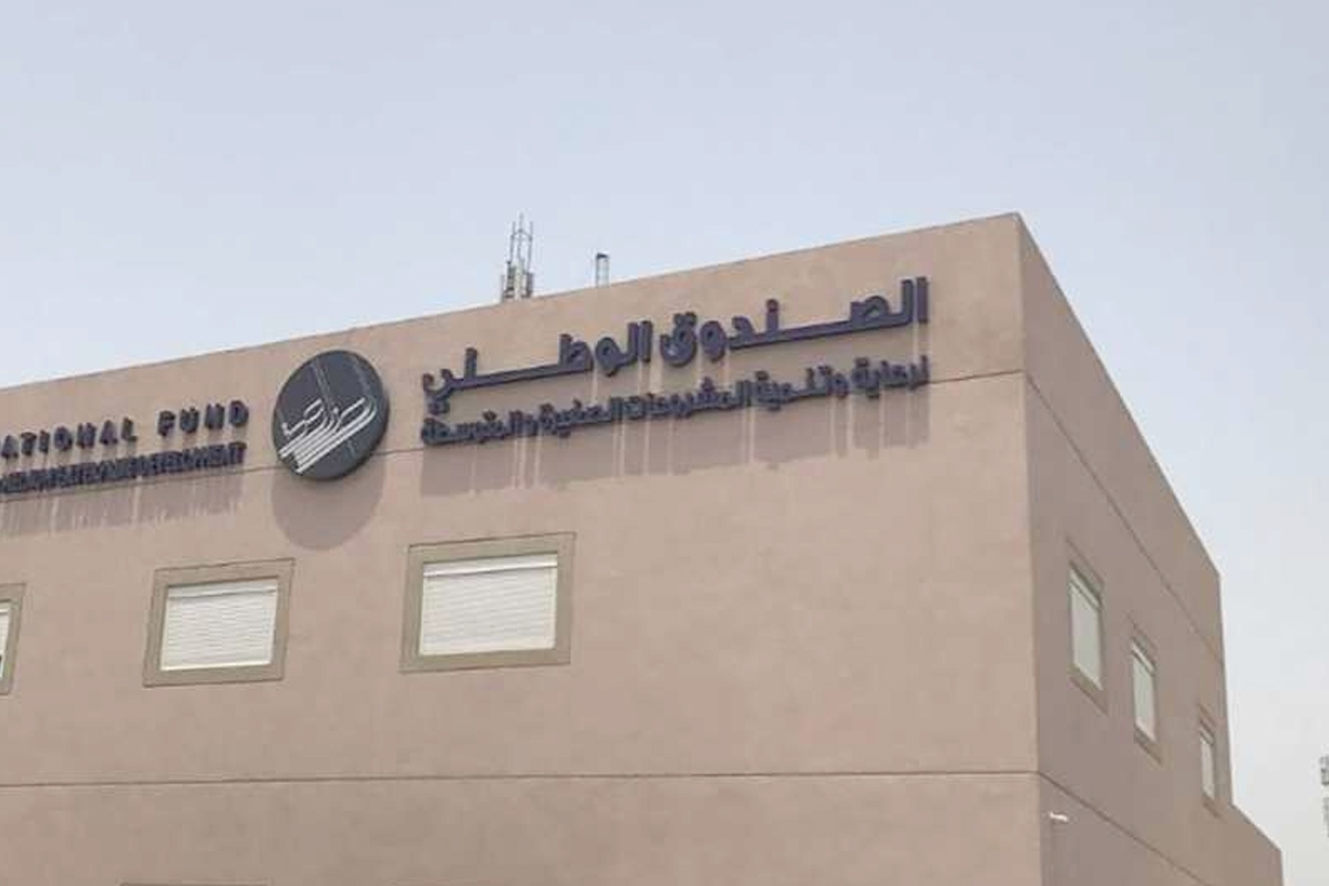 صندوق المشروعات